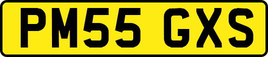 PM55GXS