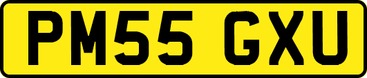 PM55GXU