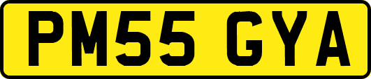 PM55GYA