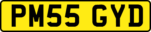 PM55GYD