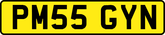 PM55GYN