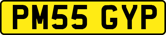 PM55GYP