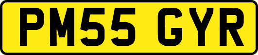 PM55GYR
