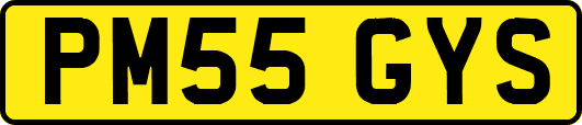 PM55GYS