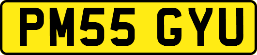 PM55GYU