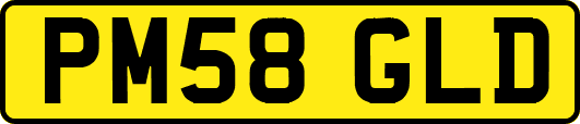 PM58GLD