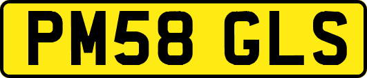 PM58GLS