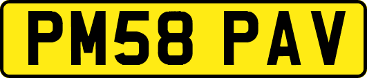 PM58PAV