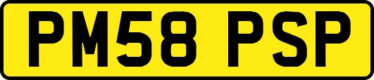 PM58PSP