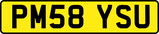 PM58YSU