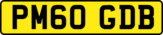 PM60GDB
