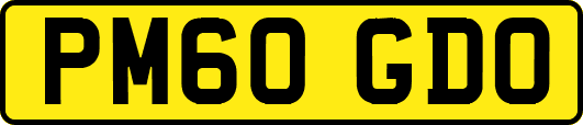 PM60GDO