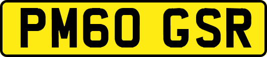 PM60GSR