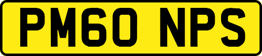 PM60NPS