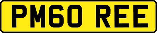 PM60REE