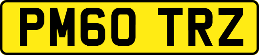 PM60TRZ
