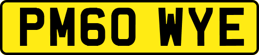 PM60WYE