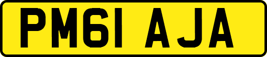 PM61AJA