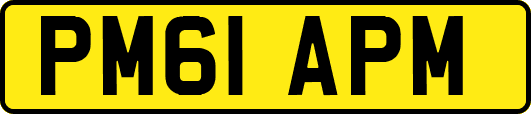 PM61APM