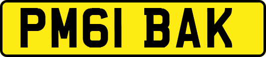 PM61BAK