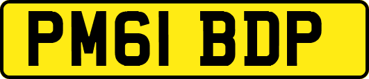 PM61BDP