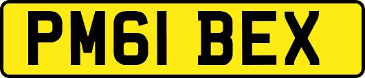 PM61BEX
