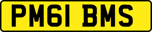 PM61BMS