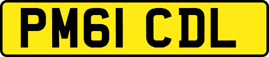PM61CDL