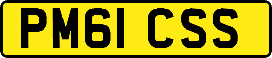 PM61CSS