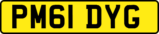 PM61DYG