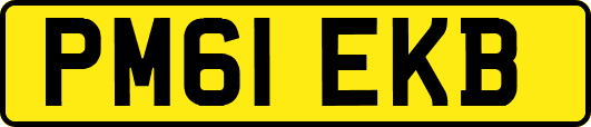 PM61EKB