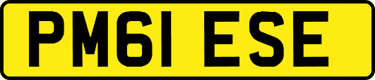 PM61ESE