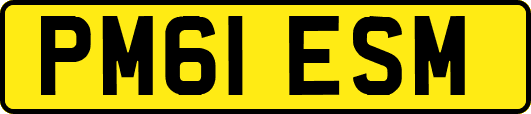 PM61ESM