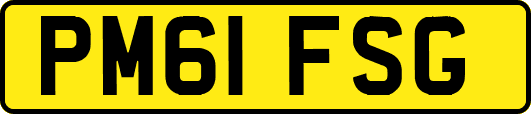 PM61FSG
