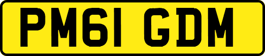 PM61GDM