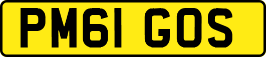 PM61GOS
