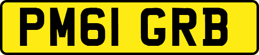 PM61GRB