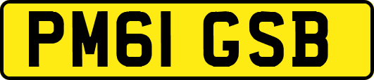 PM61GSB