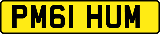 PM61HUM