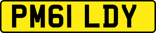 PM61LDY