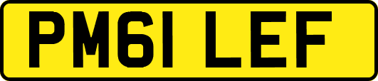 PM61LEF