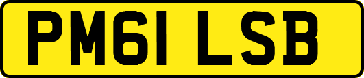 PM61LSB