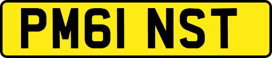 PM61NST