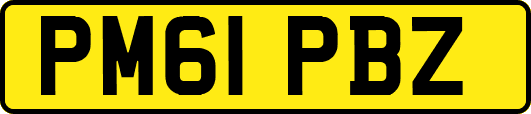 PM61PBZ