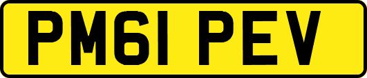 PM61PEV