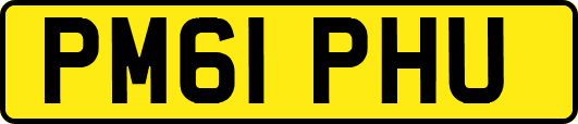 PM61PHU