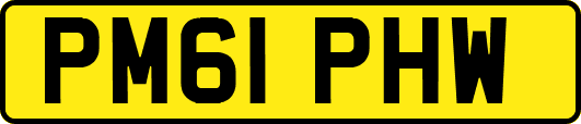 PM61PHW