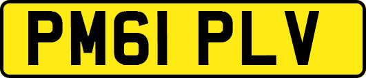 PM61PLV