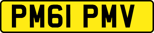 PM61PMV