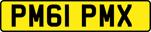 PM61PMX